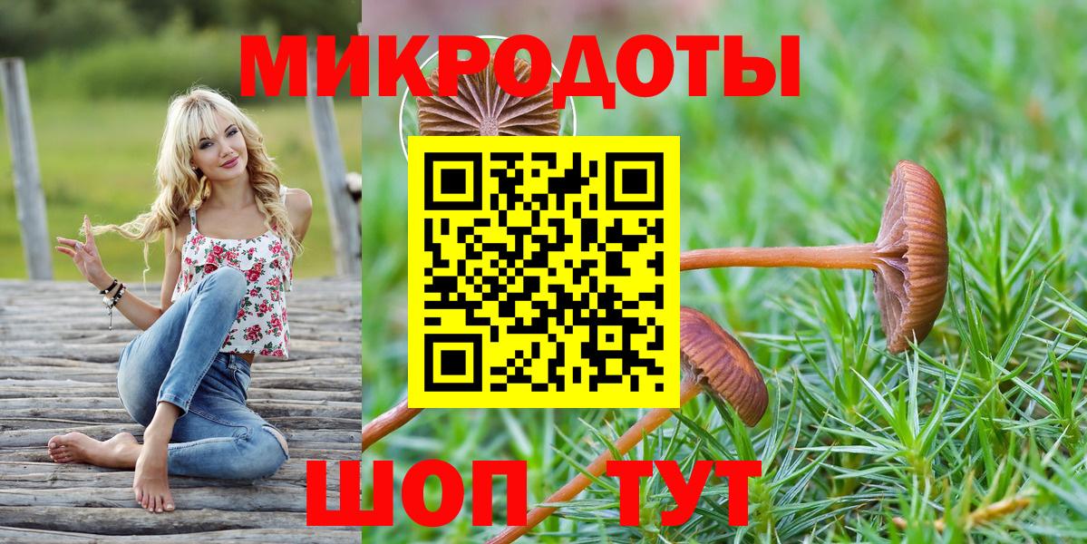 закладки  Псилоцибиновые грибы MAGIC MUSHROOMS  Вход с VPN  Благовещенск 